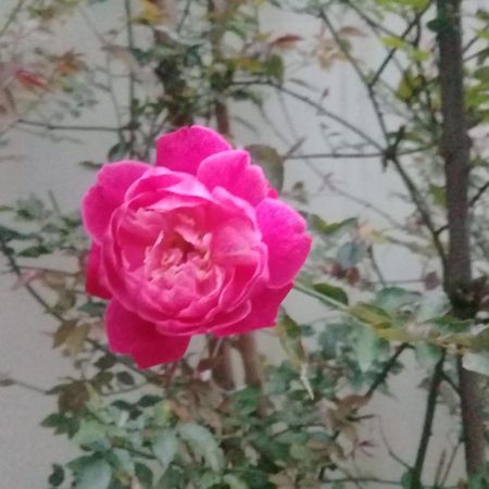 Chalé da Lu Parati Esterno foto