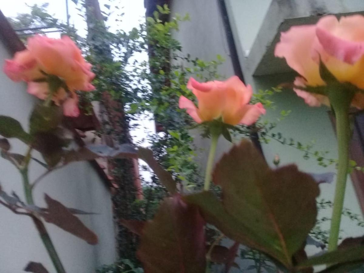 Chalé da Lu Parati Esterno foto
