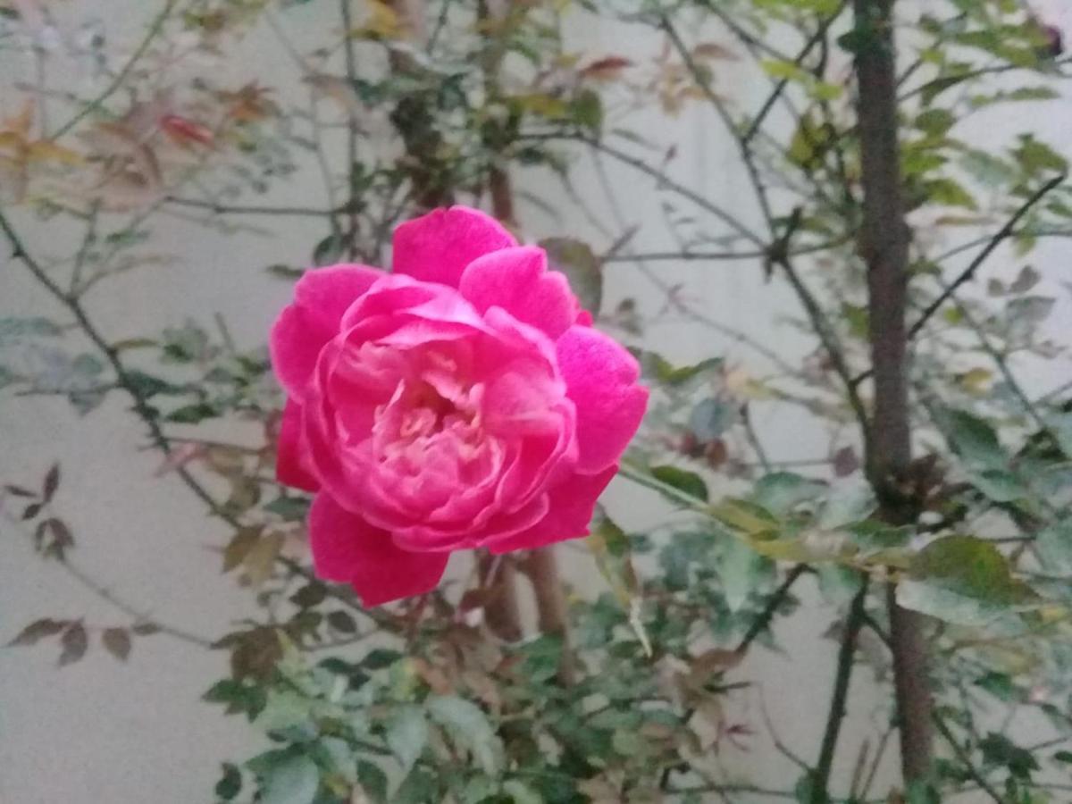 Chalé da Lu Parati Esterno foto